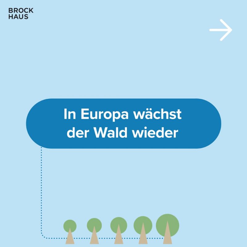 Brockhaus Klima Wissen svg+xml;charset=utf