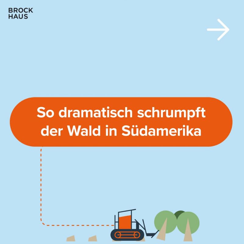 Brockhaus Klima Wissen svg+xml;charset=utf
