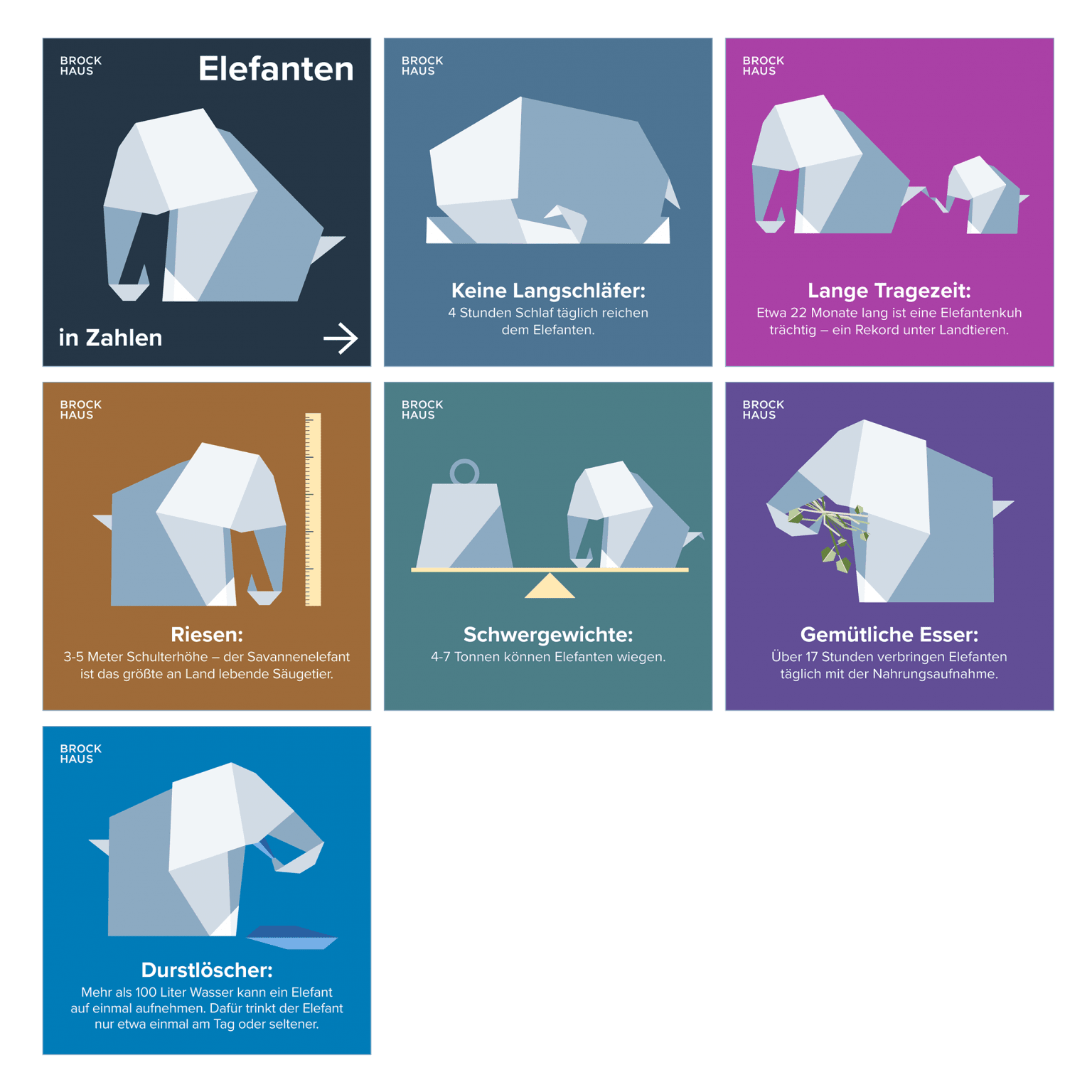 Social Media Inhalte svg+xml;charset=utf