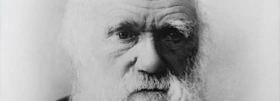 Biologie-Themen Darwin
