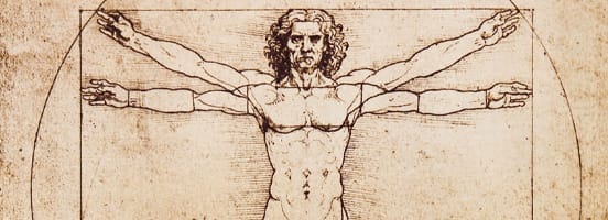 Biologie-Themen Körper