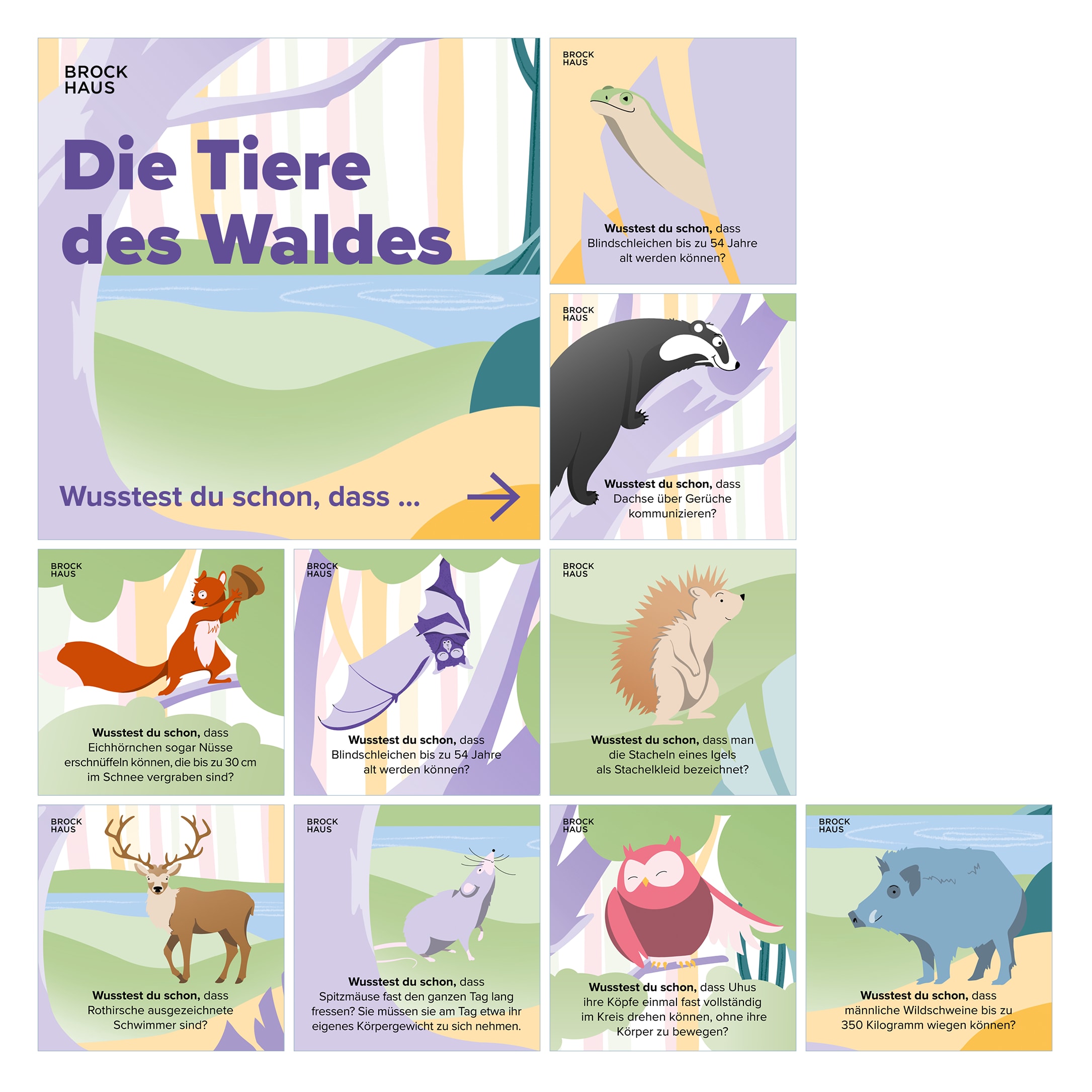 Social Media Inhalte Tiere des Waldes