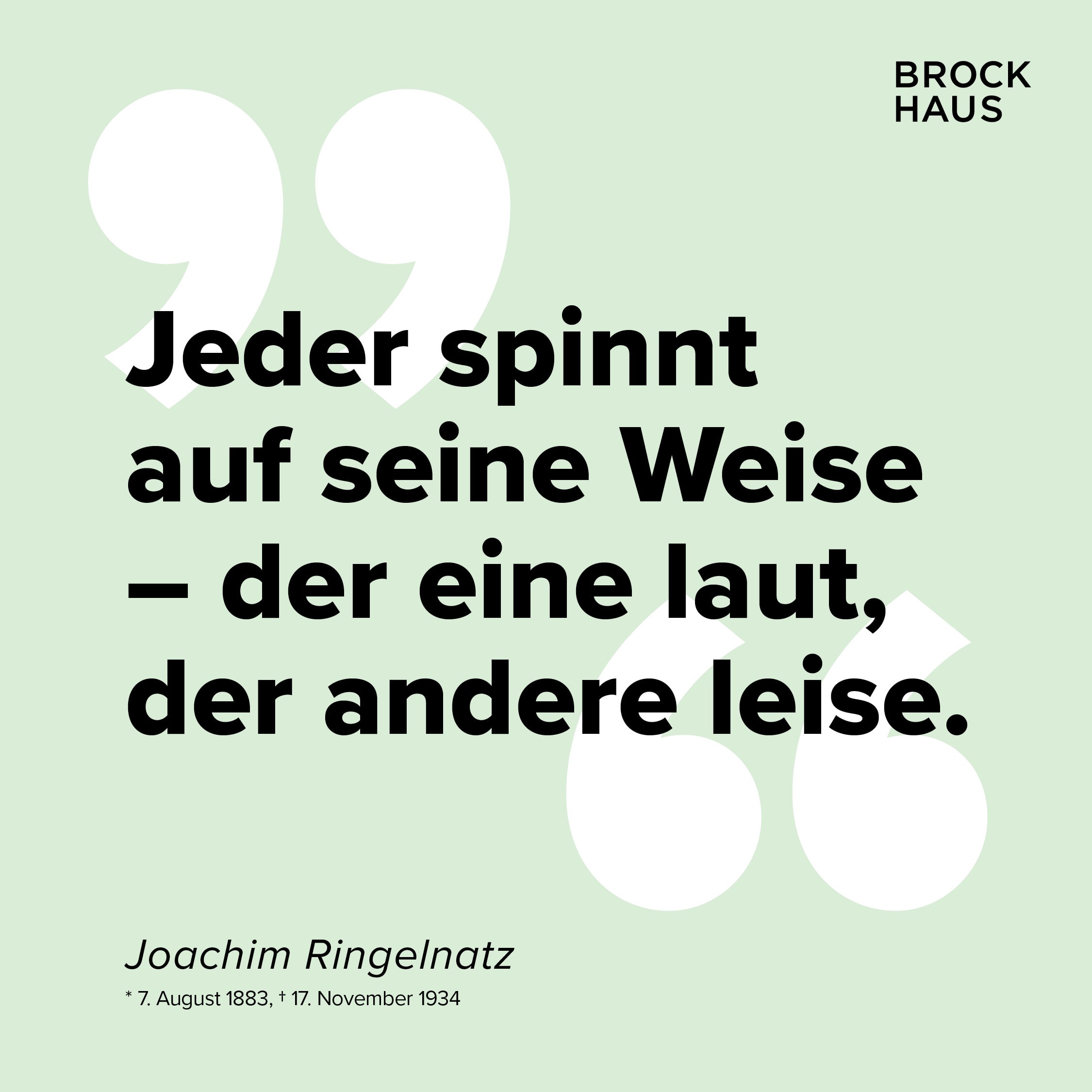 Social Media Inhalte Ringelnatz