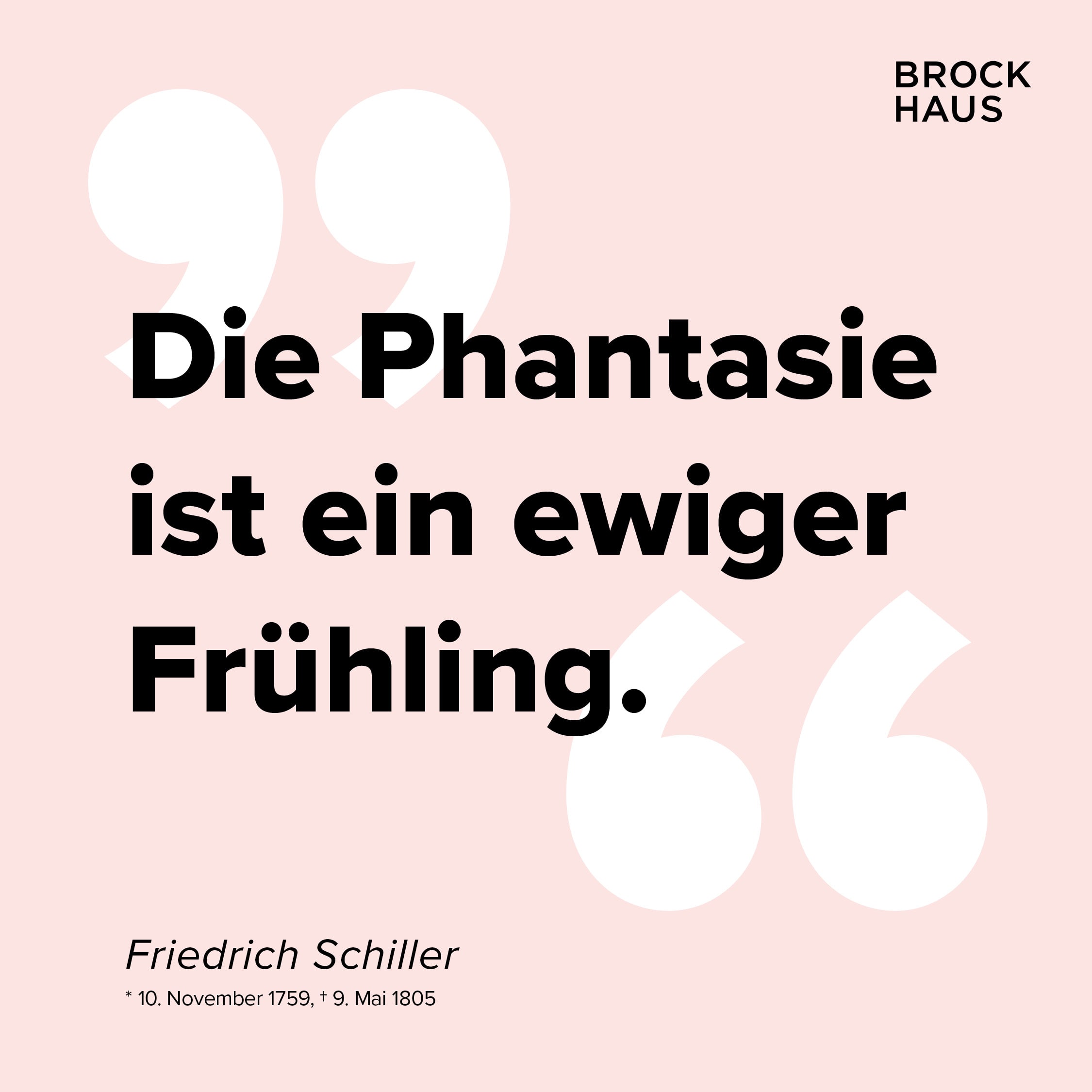 Social Media Inhalte Friedrich Schiller
