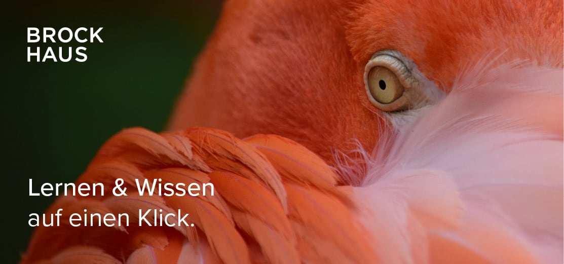 Banner und Textbausteine - Einzelprodukte