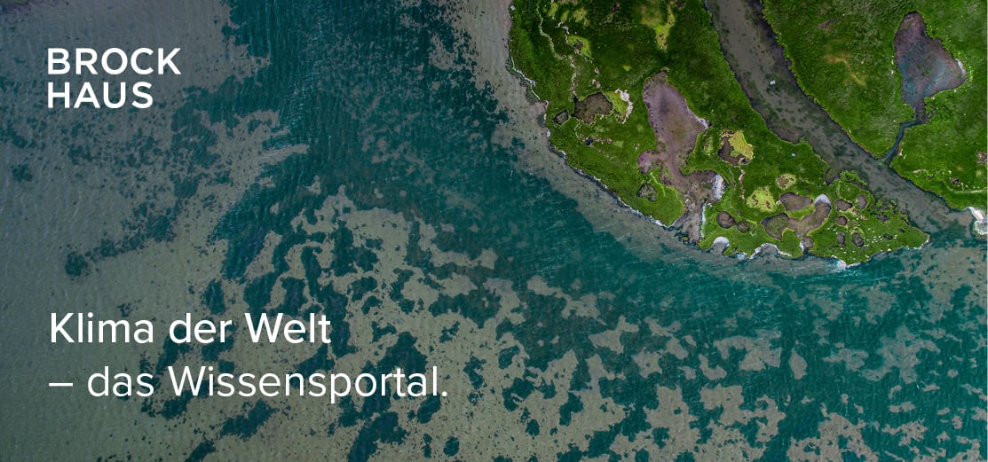 Banner und Textbausteine - Einzelprodukte 11 Klima der