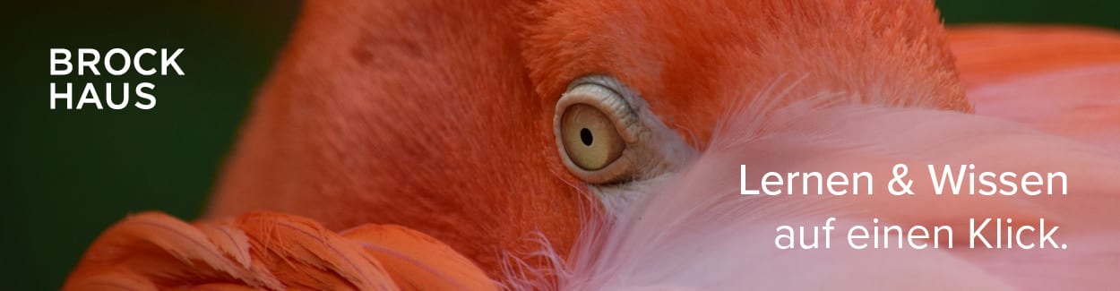 Banner und Textbausteine - Einzelprodukte