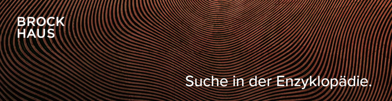 Banner und Textbausteine - Einzelprodukte