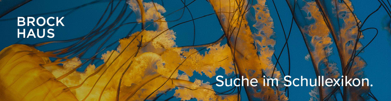 Banner und Textbausteine - Einzelprodukte