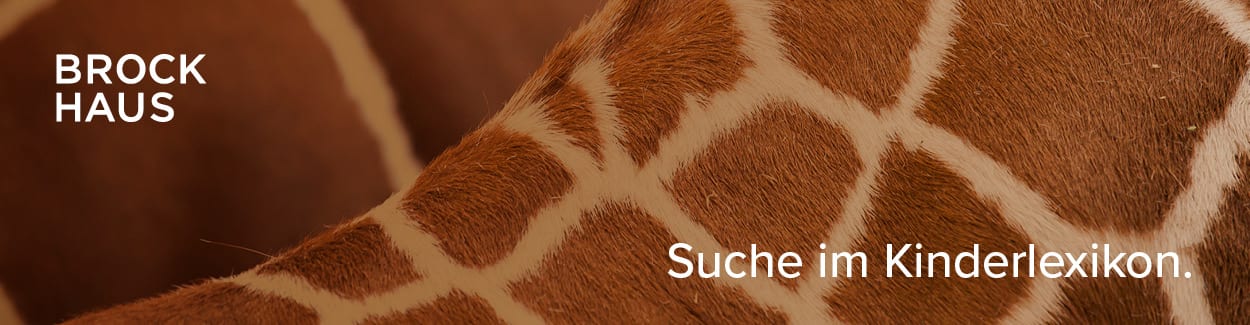 Banner und Textbausteine - Einzelprodukte