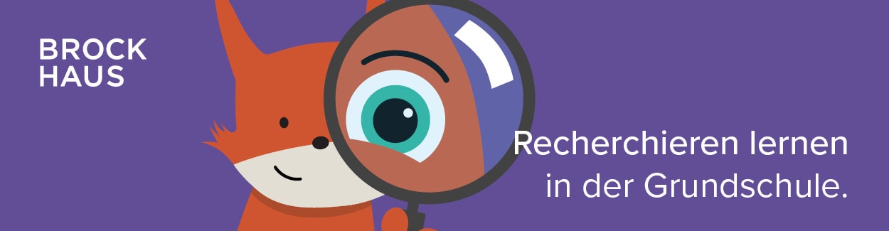 Banner und Textbausteine - Einzelprodukte 08 Recherchieren