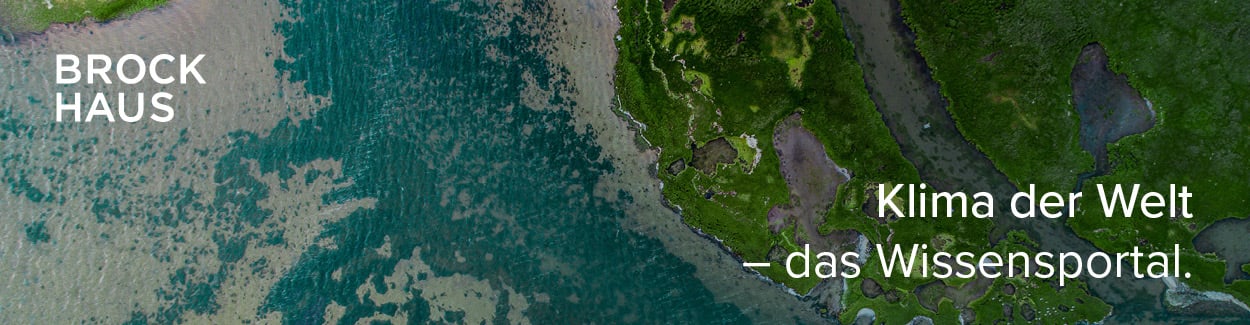 Banner und Textbausteine - Einzelprodukte 11 Klima der