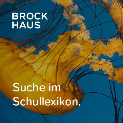 Banner und Textbausteine - Einzelprodukte