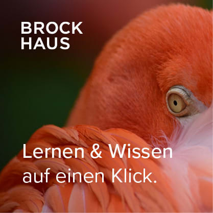 Banner und Textbausteine - Einzelprodukte