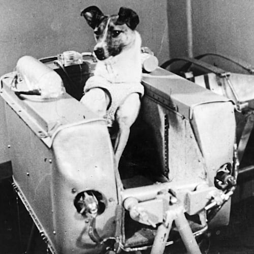 Weltall Wissen svg+xml;charset=utf