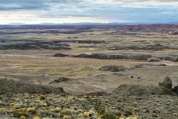 Painted Desert: National Park