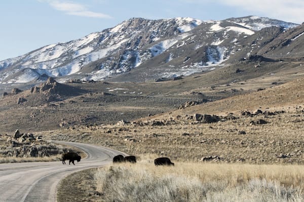 Vereinigte Staaten von Amerika: Antelope Island