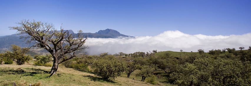 Réunion