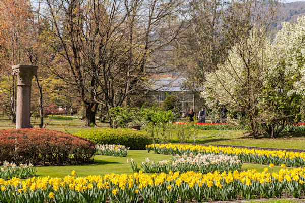 Verbania: Garten Villa Taranto