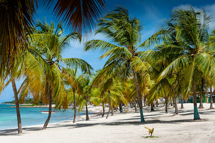 Strand auf der Isla Saona, Dominikanische Republik