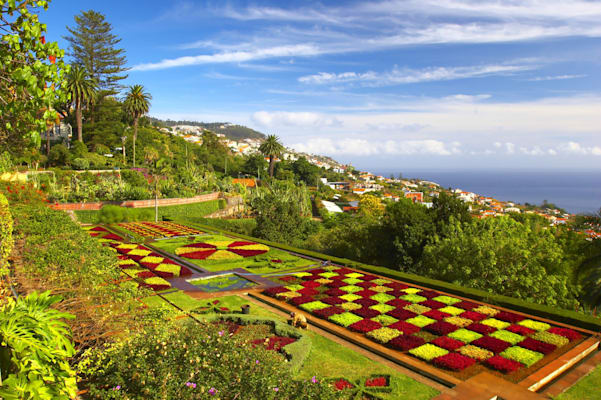 Madeira: Funchal