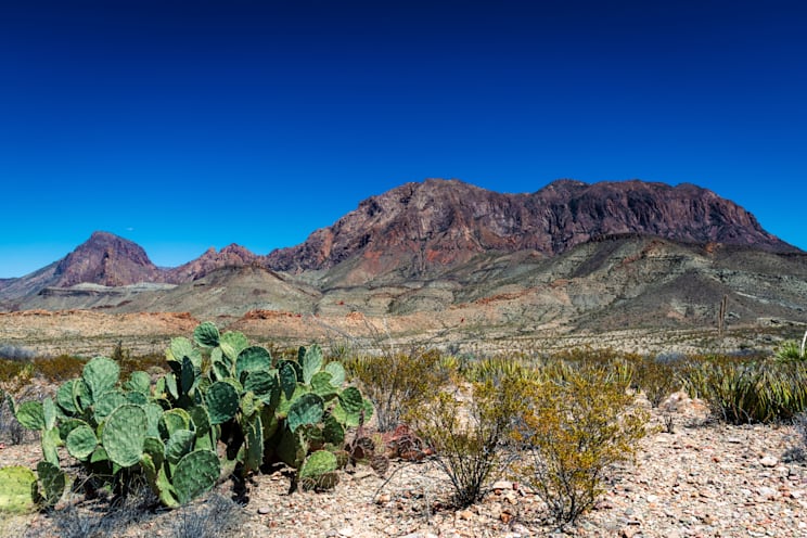 Big Bend National Park