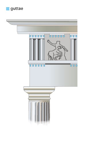 guttae