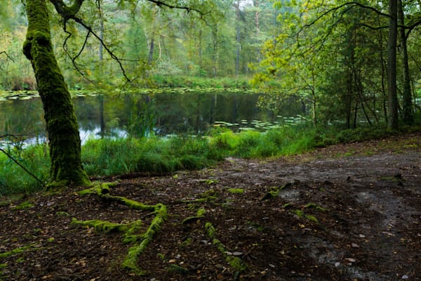 Müritz-Nationalpark