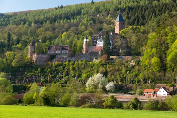 Zwingenberg: Burganlage