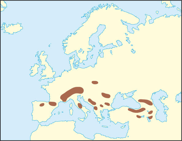 Gämsen: Verbreitung