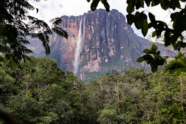 Auyán-Tepuí im Canaima-Nationalpark