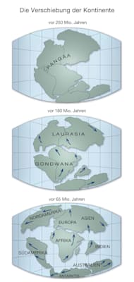Kontinentalverschiebung: Karte