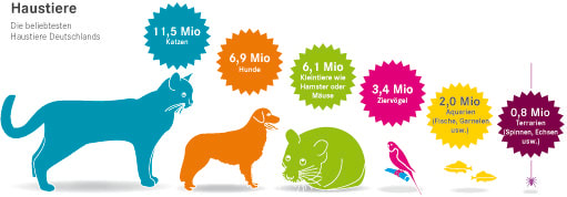 Haustiere