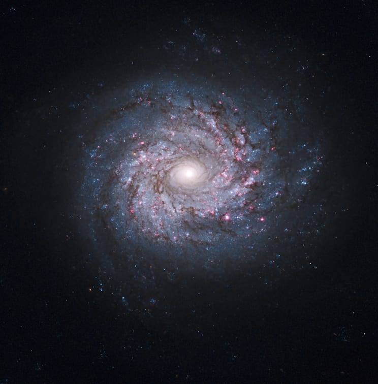 Galaxien: Galaxie NGC 3982