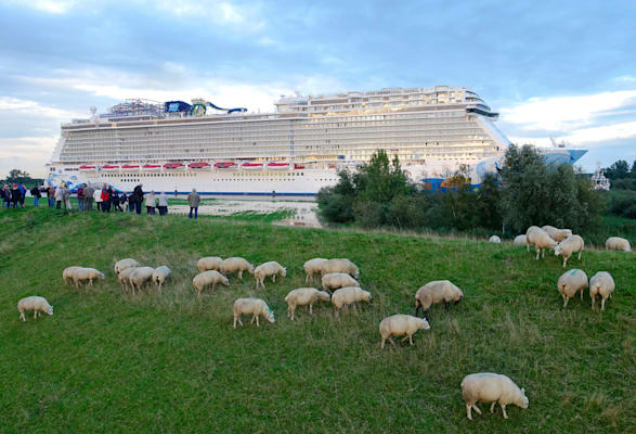 Meyer Werft