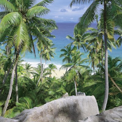 Seychellen: Plamen