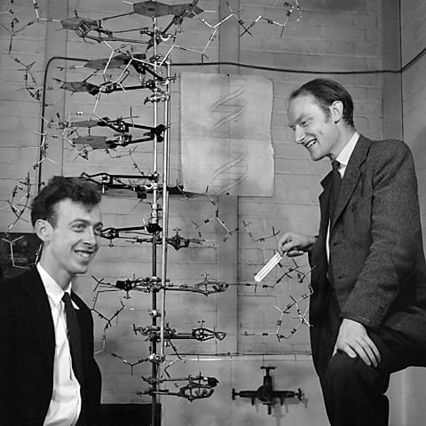 Francis Crick und James Watson