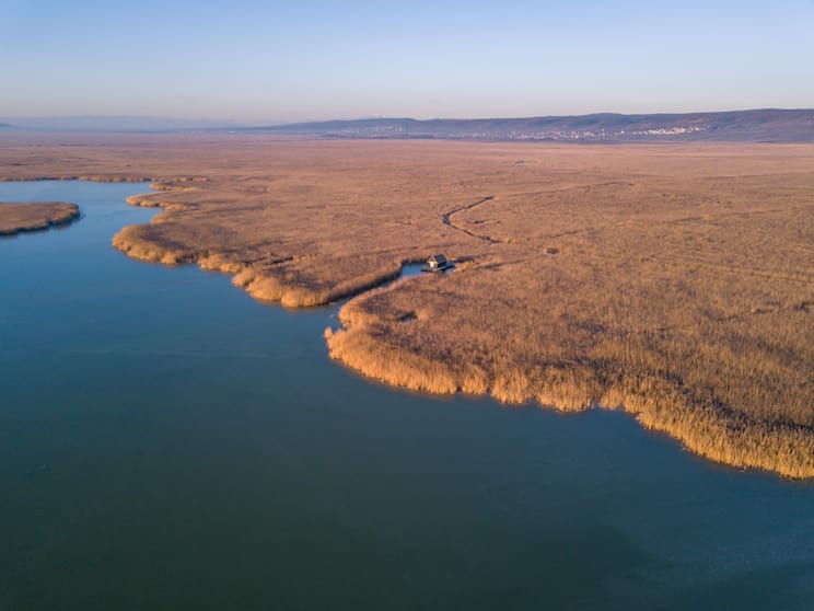 Neusiedler See
