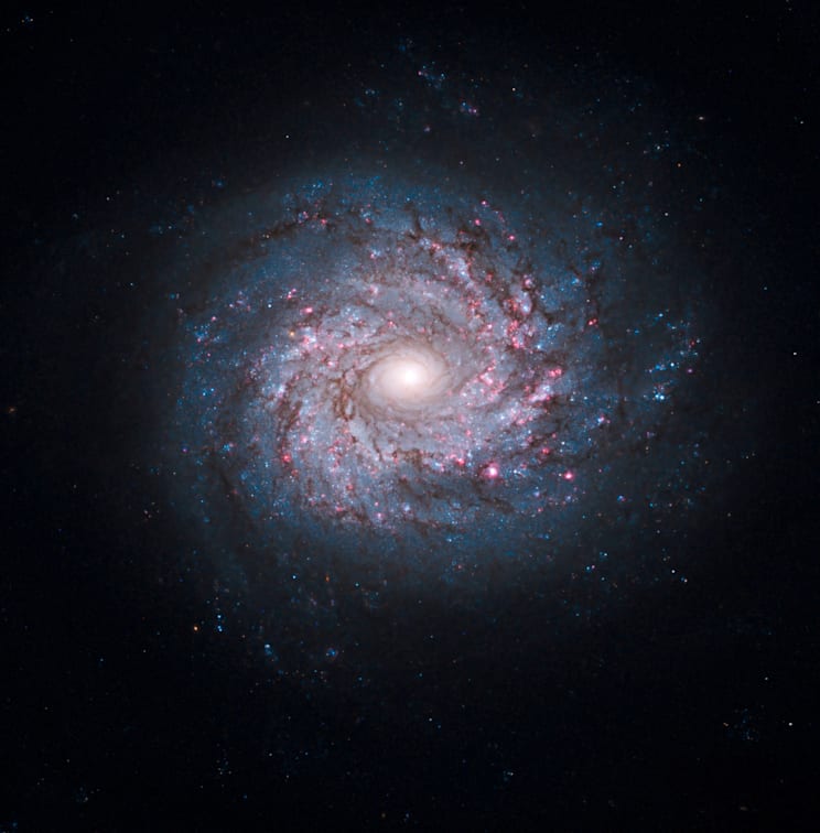 Galaxien: Galaxie NGC 3982