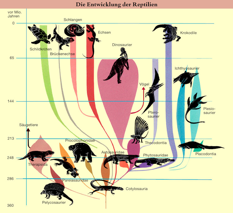 Reptilien: Stammbaum