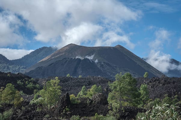 Michoacán: Vulkan Paricutín