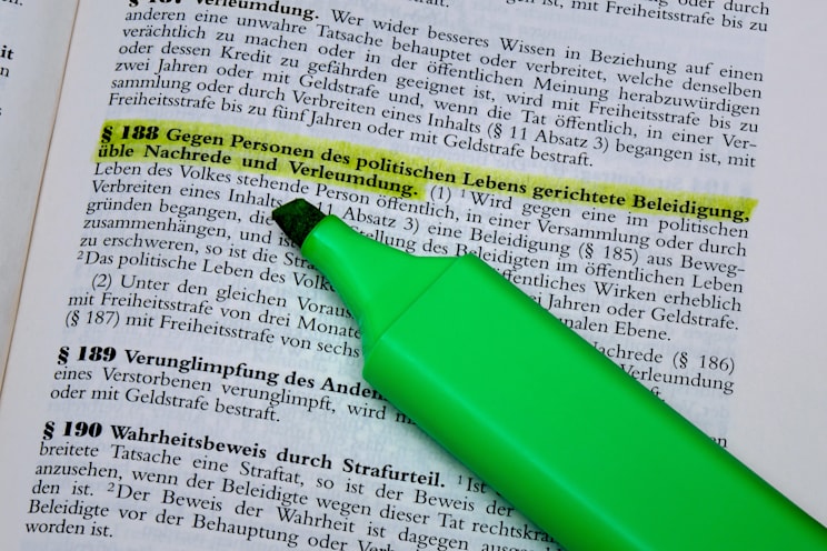Politikerbeleidigung