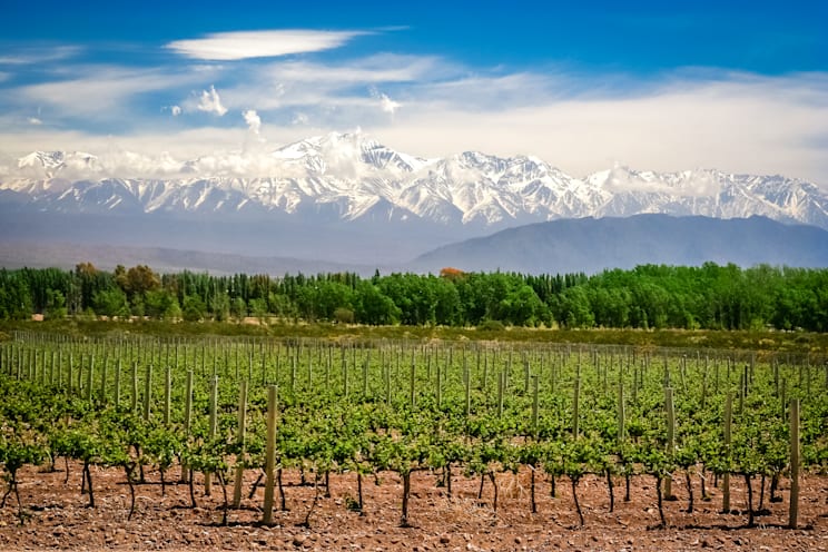 Mendoza: Weinbaugebiet
