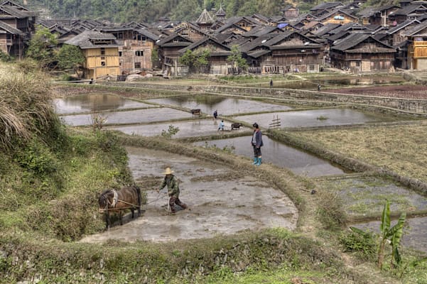 Guizhou