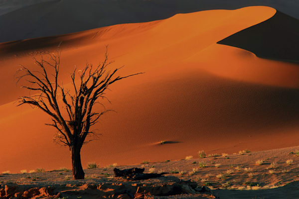 Namib