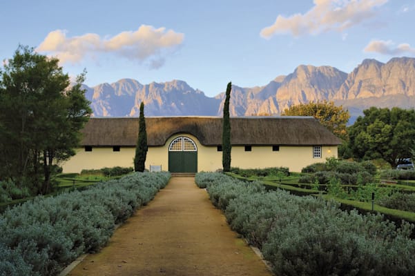 Stellenbosch: Weingut