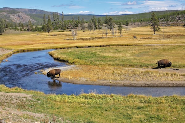 Yellowstone-Nationalpark