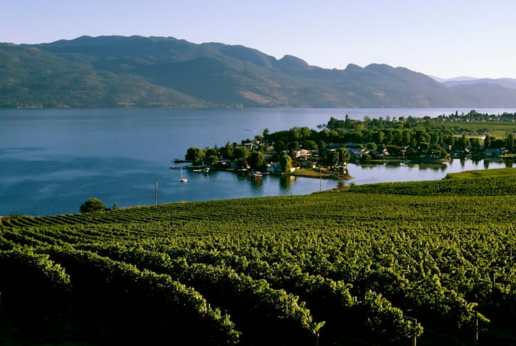 Kelowna: Weinanbau
