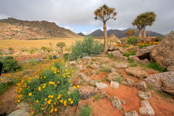 Südafrika: Namaqualand