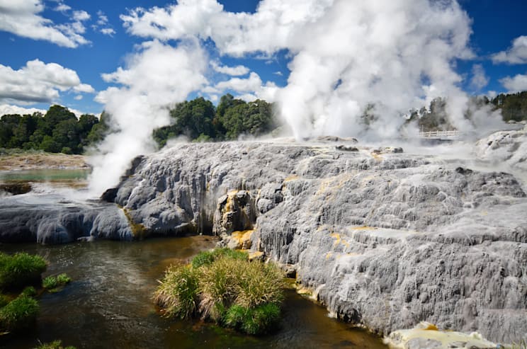 Neuseeland: Geysir Pohutu